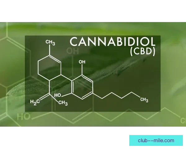 女足反兴奋剂行动升级严惩违禁药物行为维护公平竞争